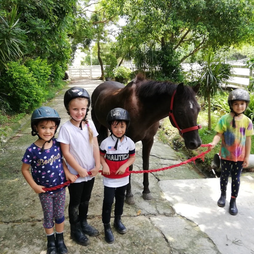 Fun with Ponies (2 Days) | 小馬2日「童」樂營 (Aged 6-8)