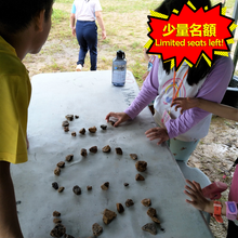 Load image into Gallery viewer, Survival Island (3 Days, 2 Nights) | 三日兩夜野外求生體驗 (Ages 9-12)
