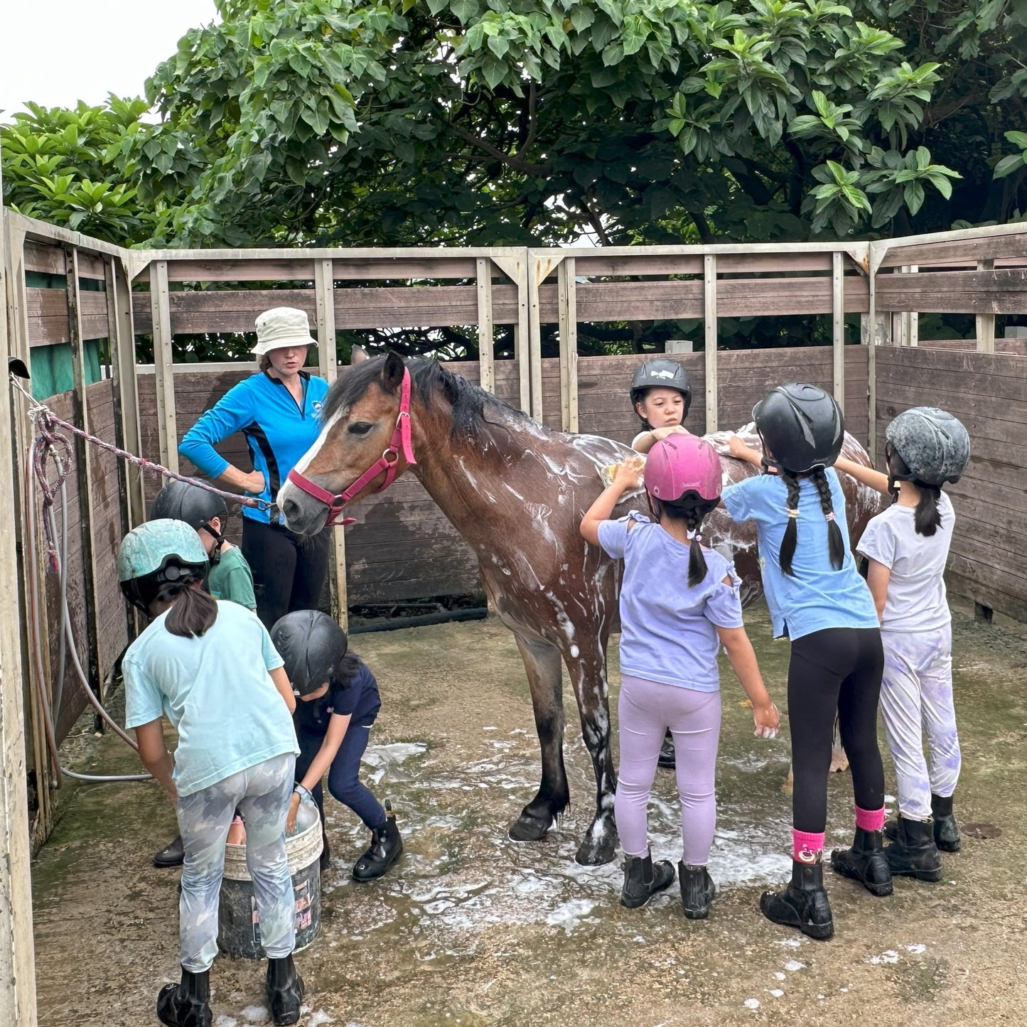 Festive Fun with Ponies (2 Days) | 小馬聖誕樂兩天日營 (Aged 9-12)