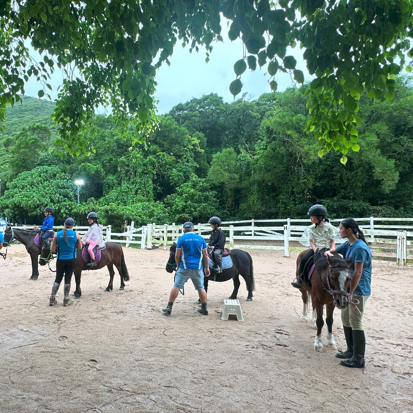 Festive Fun with Ponies (2 Days) | 小馬聖誕樂兩天日營 (Aged 9-12)