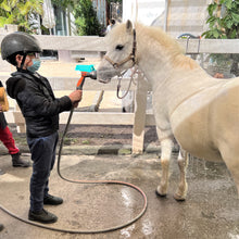 Load image into Gallery viewer, Fun with Ponies (2 Days) | 小馬「童」樂營 (Ages 6-8)
