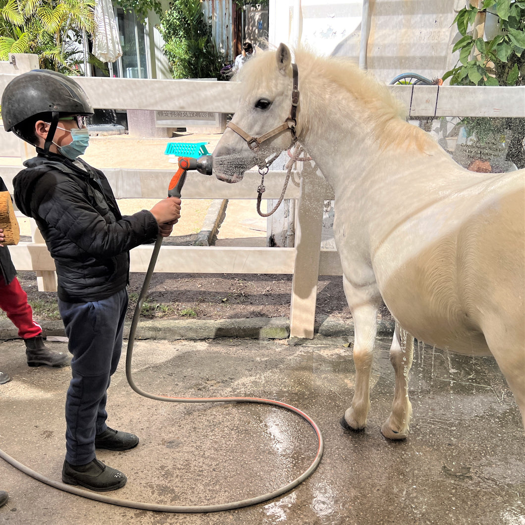 Fun with Ponies (2 Days) | 小馬「童」樂營 (Ages 6-8)