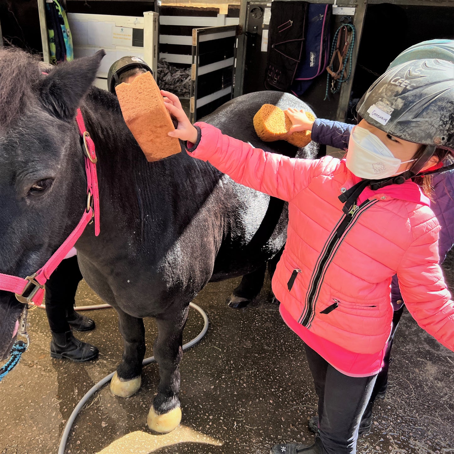 Festive Fun with Ponies (2 Days) | 小馬聖誕樂兩天日營 (Aged 6-8)